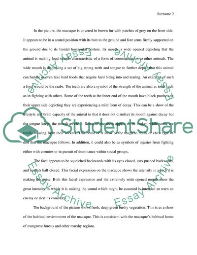 The photograph in focus