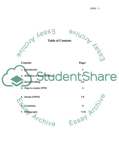 Literature Review - Racial Profiling Issues