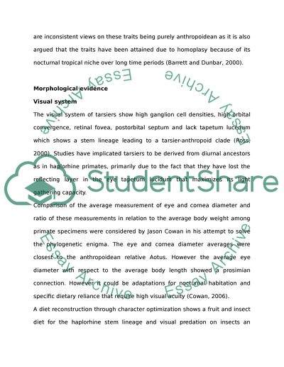 Phylogenic Evidence of Tarsiers as Anthropoids