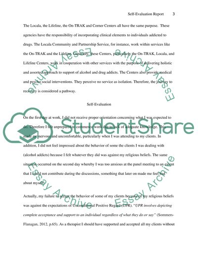 Self-Evaluation Report