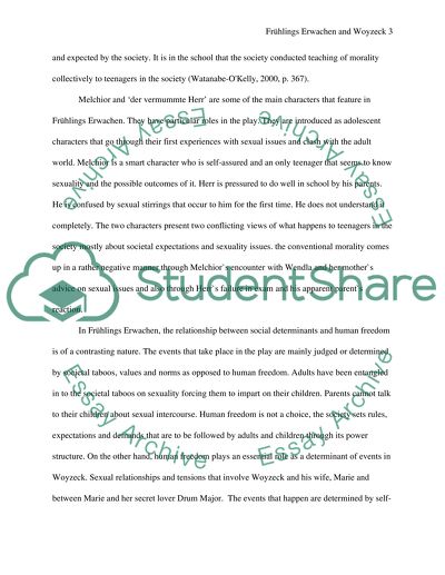 Essay ber woyzeck 04 picture