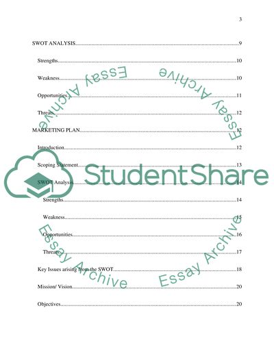 Marketing Plan for SUZU in Hammersmith