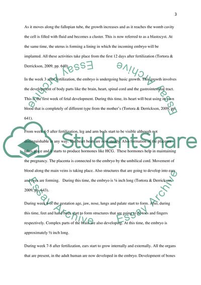 Fetal Development Peculiarities