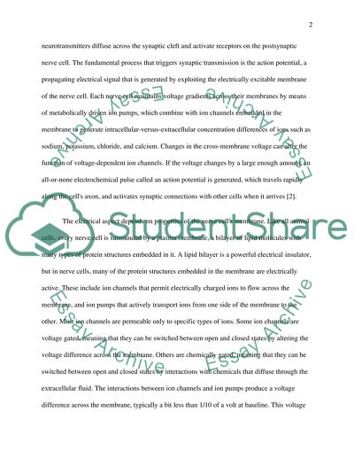 Importance of the Work of Nerve Cells