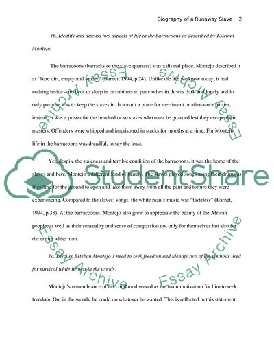 Analysis of Biography of a Runaway Slave by M. Barnet