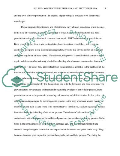 Pulse Magnetic Field Therapy and Phototherapy