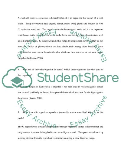 Canadas Boreal Forest and Gloeophyllum Sepiarium