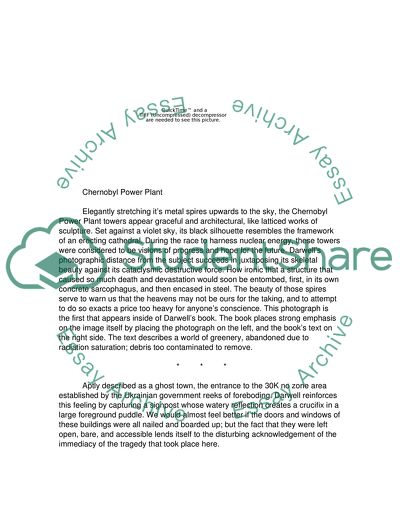 Martin Parrs Think of England