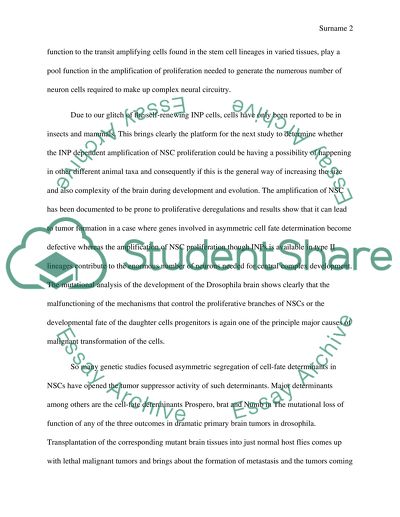 Review Mechanism for Complexity in Brain