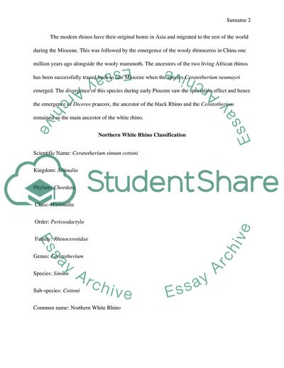 Endangered Species: Northern White Rhino