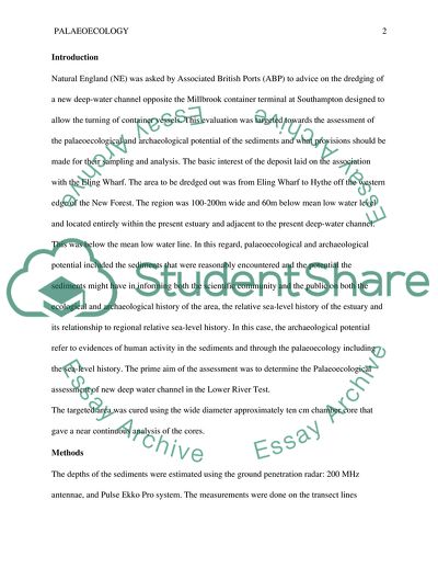 Palaeoecological Assessment of a New Deep water Channel in the Lower River Test