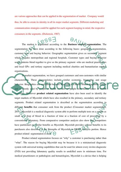 Business Market Segmentation, Choice of Target Customer Segments
