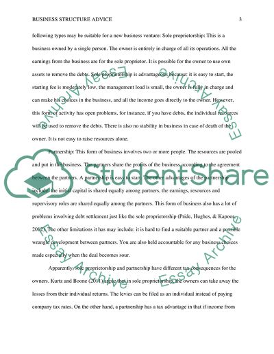 Business Structure Advice