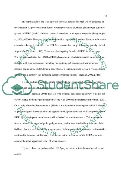 The Significance of HER 2 Receptor Expression in Breast Cancer Tissue
