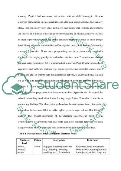 Pupil Z Individual Observation Program