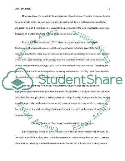 Analysis of the Impact of Low Incomes on Society