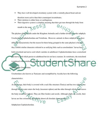 Diversity Of Phylum Chordata
