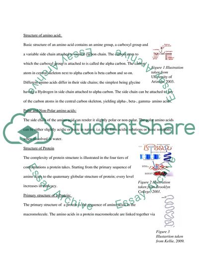 Structures of Amino Acid, Protein, Glucose, Carbohydrates and Fatty Acids