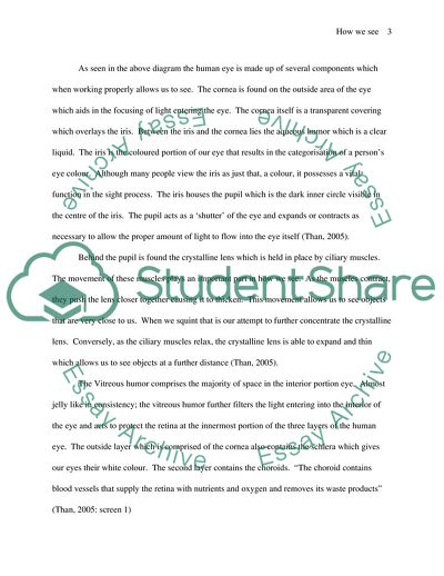 Understanding of the Vision Process