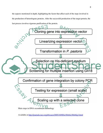 Industrial Scale Production of Heterologous Proteins
