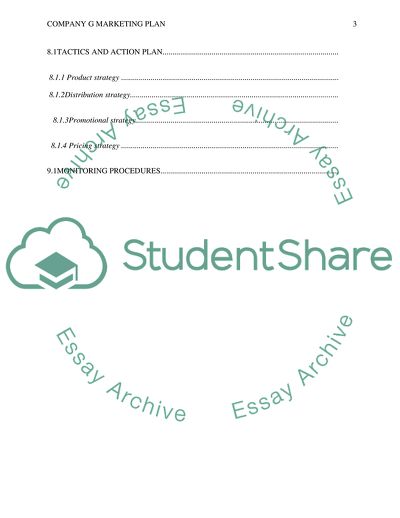 Market Strategy Plan of Company G