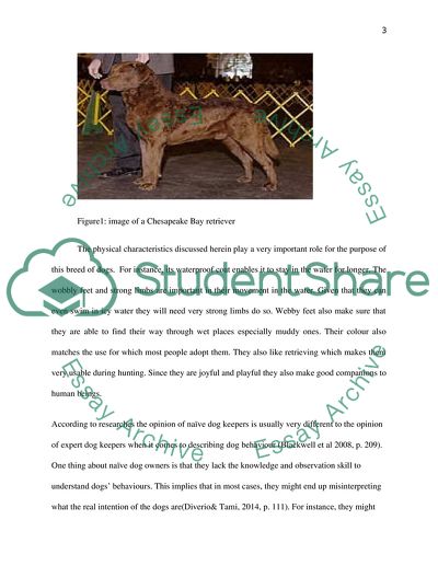 Owner and Dog Behaviour