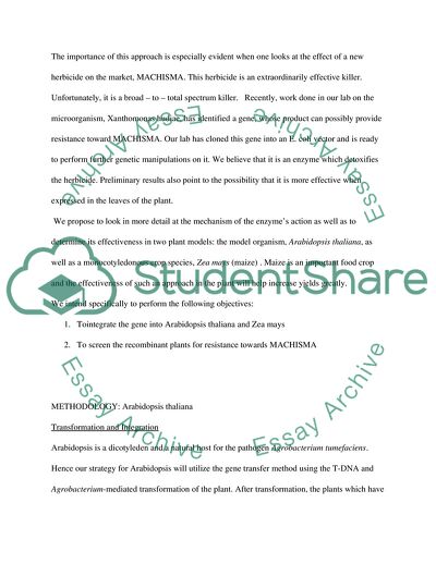 The Protective Properties of a Novel Gene