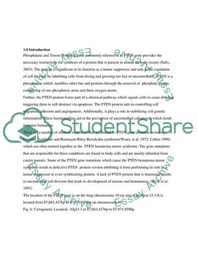 PCR Determination of Optimum Parameters in the Analysis of Pten and Its Role in Aging and Senescence
