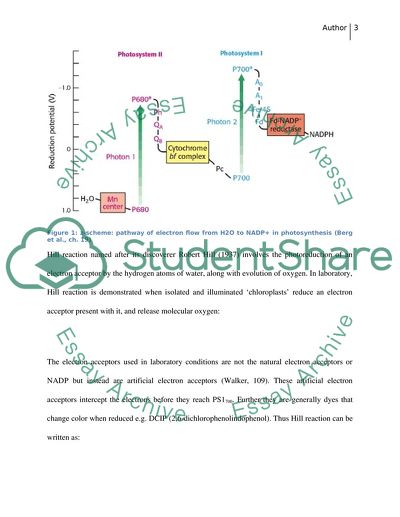 Studies on Photosynthesis Using the Hill Reaction Report
