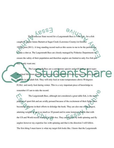 Catching a Largemouth Bass