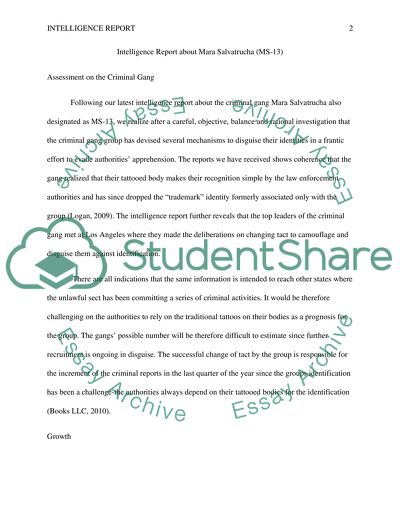 International criminal organization