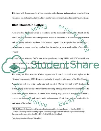 Benchmarking - Marketing assignment