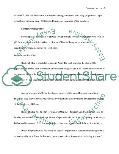 Shades of Blue: Strategic Plan