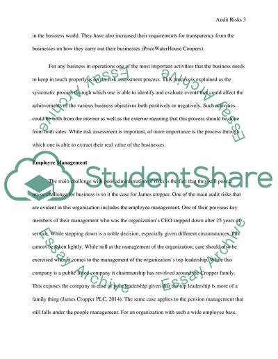 Risk Assessment Process as One of the Most Important Activities the Business Needs to Keep in Touch