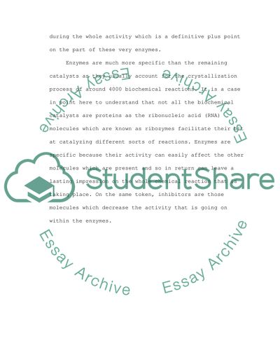 Enzymes as the Proteins