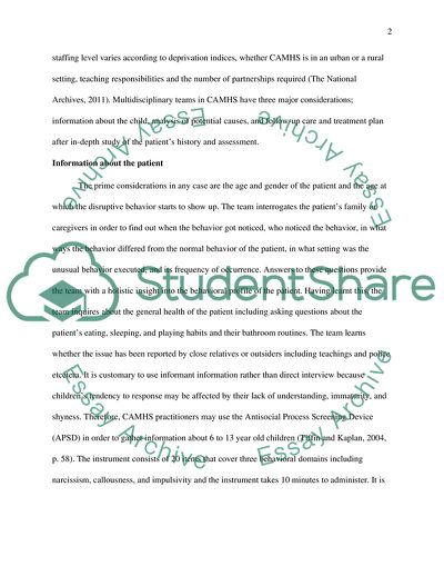 The Multidisciplinary Team in a Community Child and Adolescent Mental Health Service