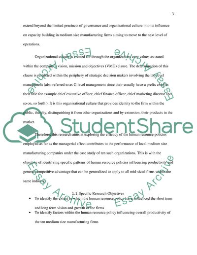 The Performance of Medium-Sized Manufacturing Firms