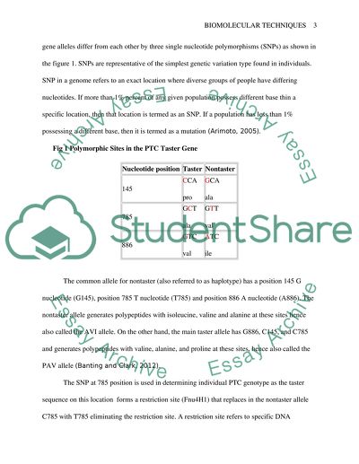 Bitter Taste Perception of Phenylthiocarbamide