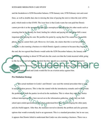 The Role of the Mediator in the Video