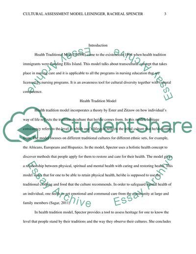 Culture Assessment Model Leininger, Rachel Spector