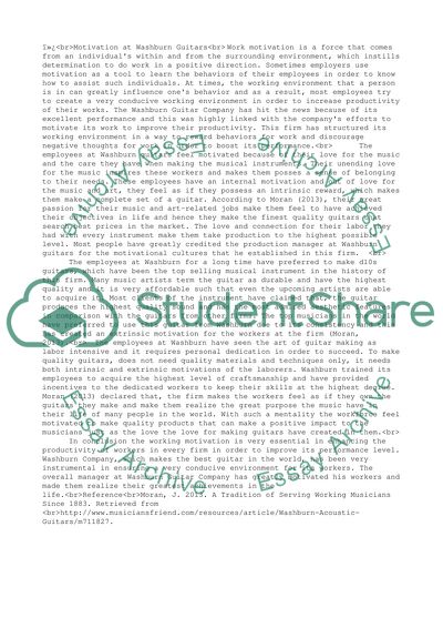 Motivation and Performance in Washburn Guitars