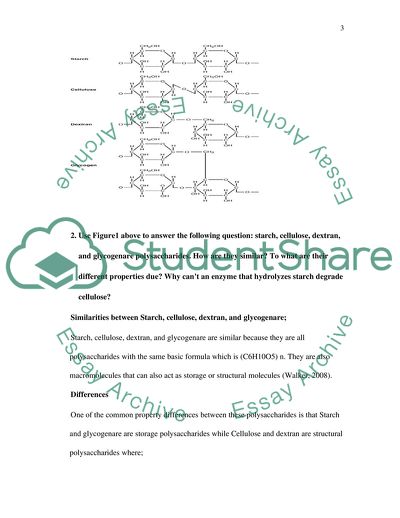 Starch, Cellulose, Dextran, and Glycerate