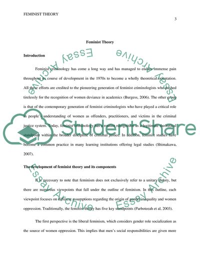 Feminist Theory and Its Application in White Collar Crime