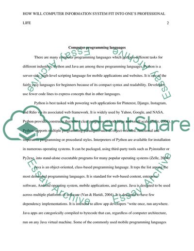 How Will Computer Information System Fit Into Your Professional Life