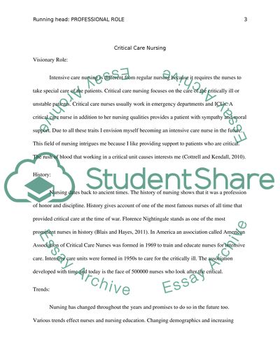 Professional Role Paper