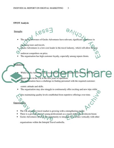 Gecko Adventures Marketing Strategy