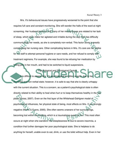 Alzheimers Disease Patient and Social Theory