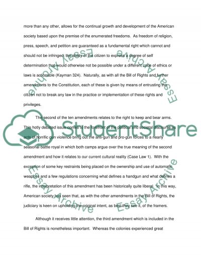 14th amendment essay