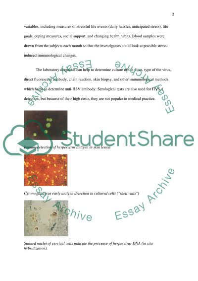 HUMAN SMPILEX VIRUS TYPE 1