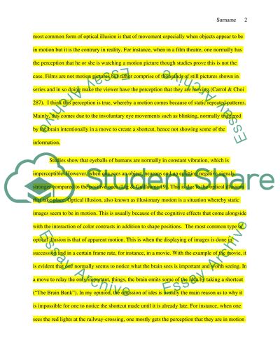 The Brain: the Aspect of Visual Illusions